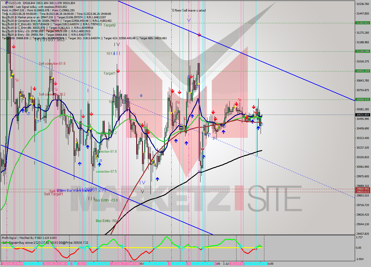 BTCUSD H1 Signal