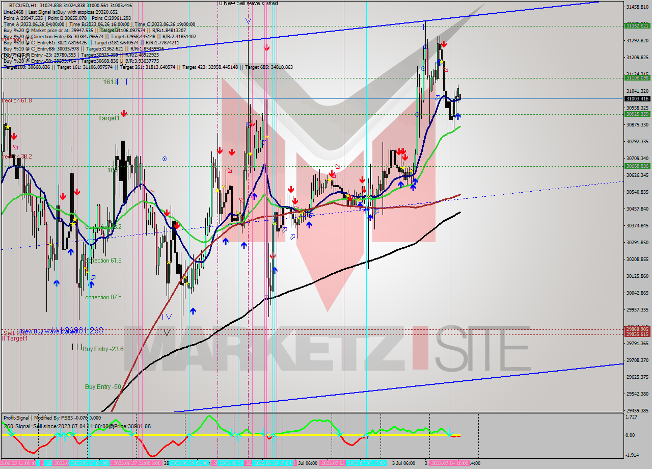 BTCUSD H1 Analysis BTCUSD H1 Signal