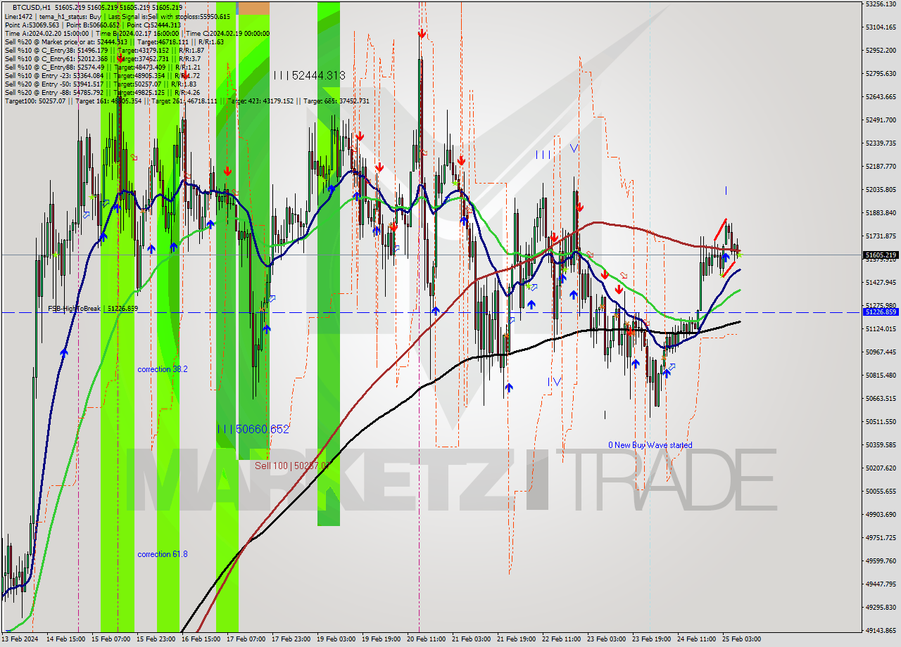 BTCUSD MultiTimeframe analysis at date 2024.02.25 13:00