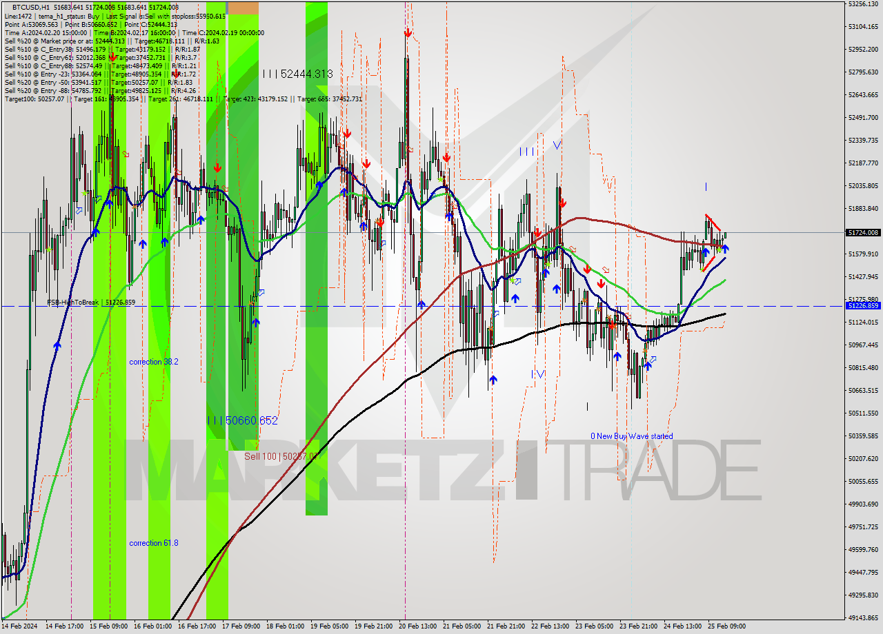 BTCUSD MultiTimeframe analysis at date 2024.02.25 15:02