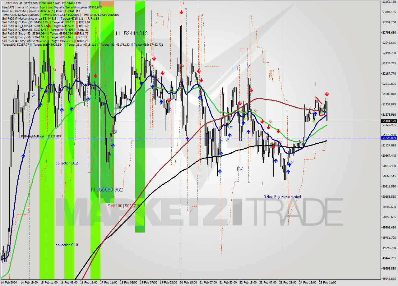 BTCUSD MultiTimeframe analysis at date 2024.02.25 17:48