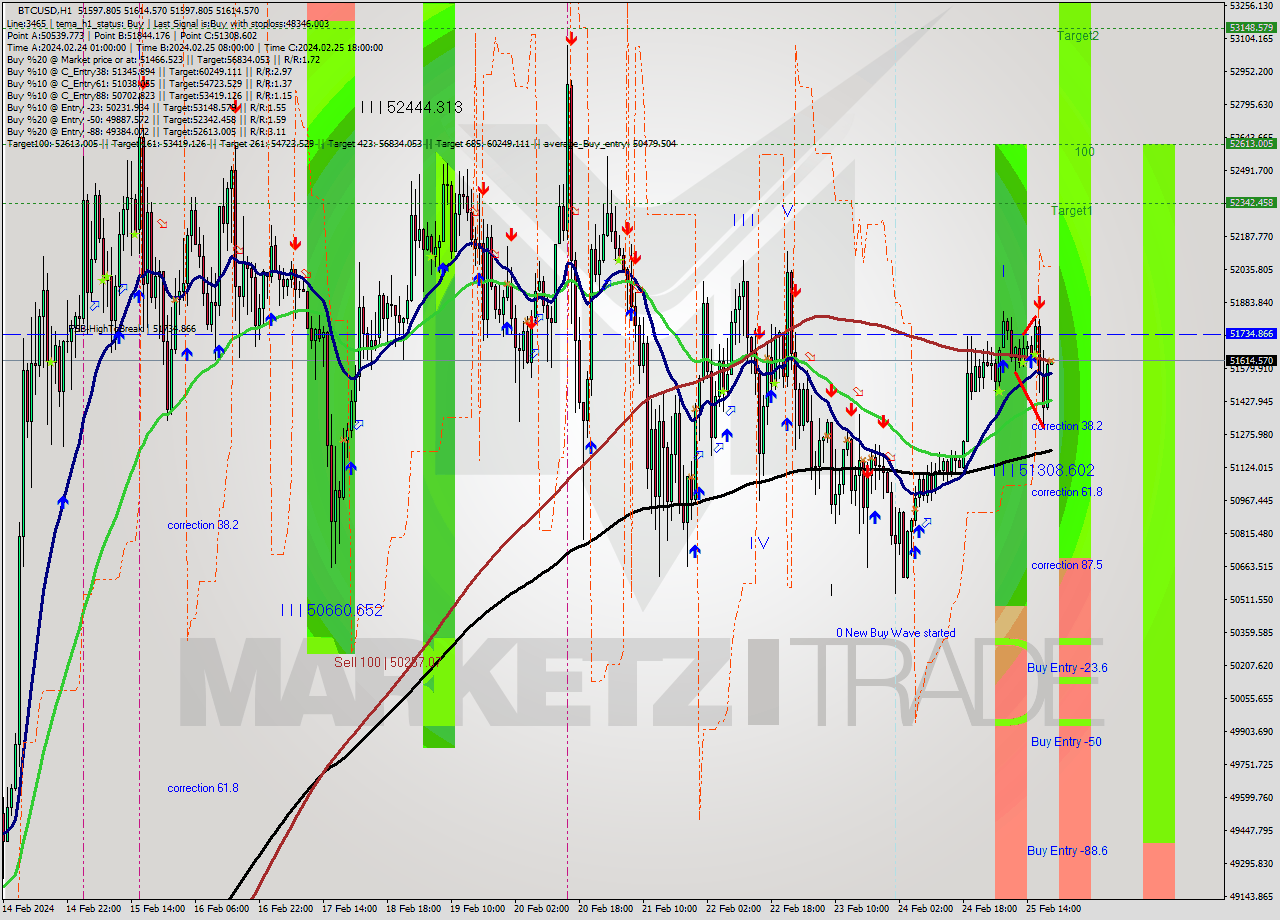 BTCUSD MultiTimeframe analysis at date 2024.02.25 20:01