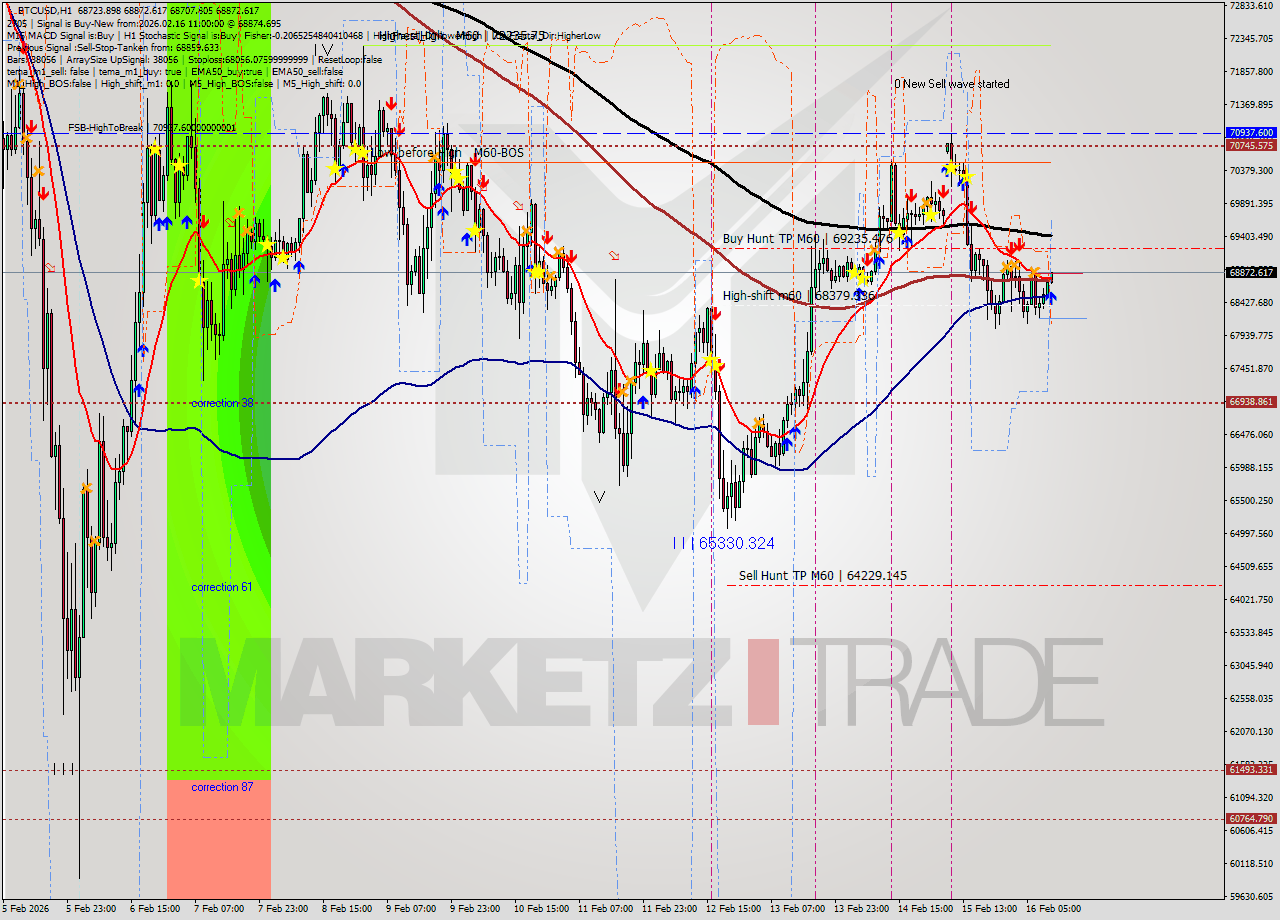 BTCUSD MTF analysis at 2026.02.16 11:04
