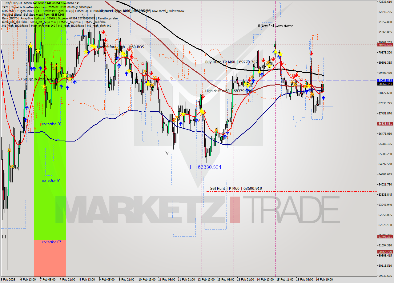 BTCUSD MTF analysis at 2026.02.17 01:51