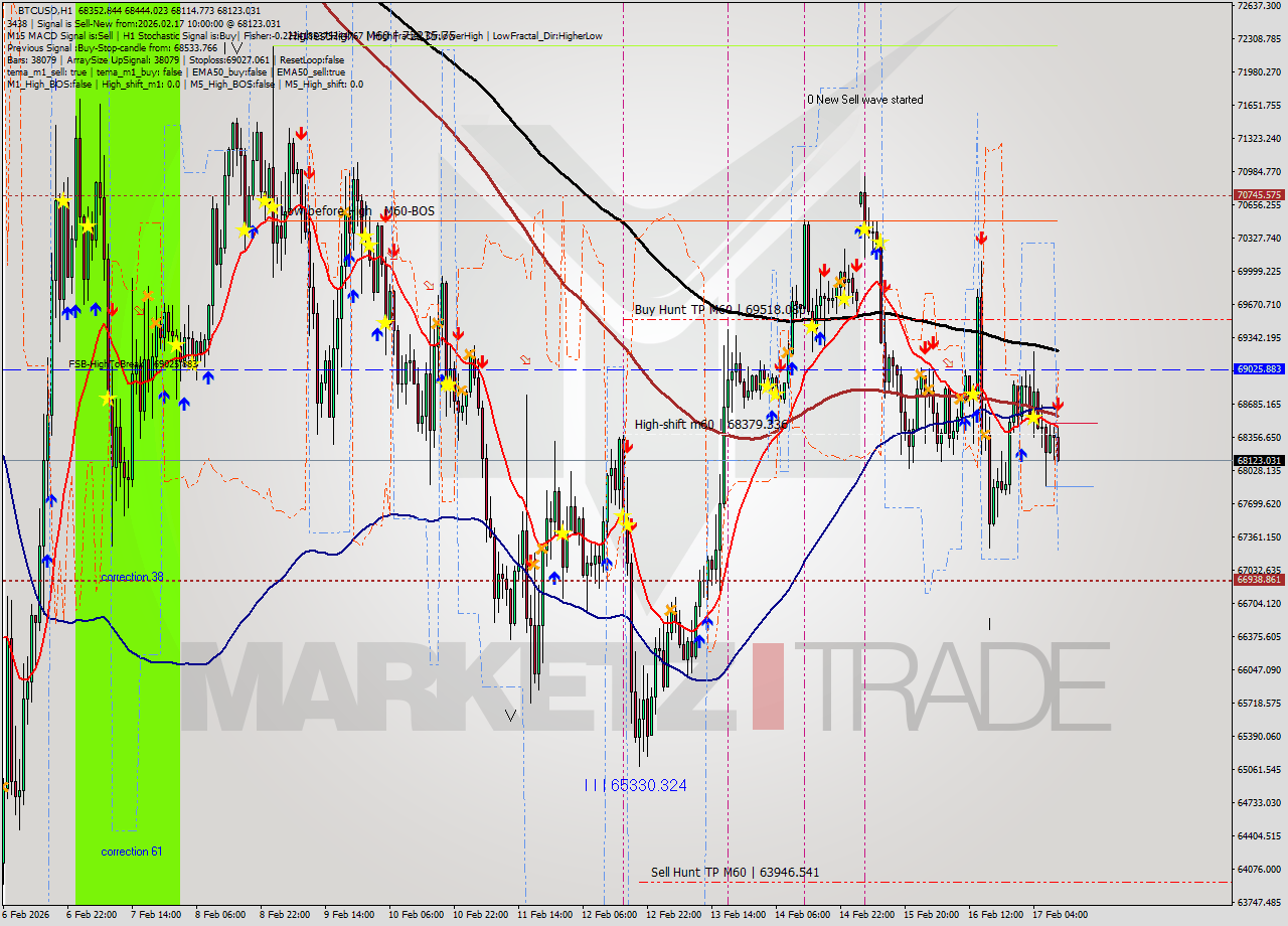 BTCUSD MTF analysis at 2026.02.17 10:42