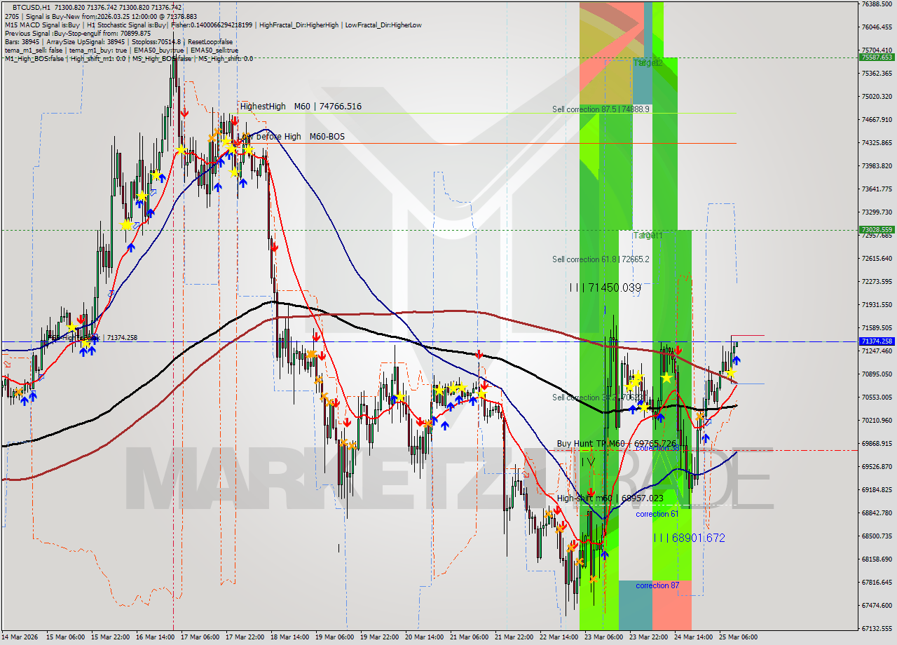 BTCUSD MTF analysis at 2026.03.25 12:01