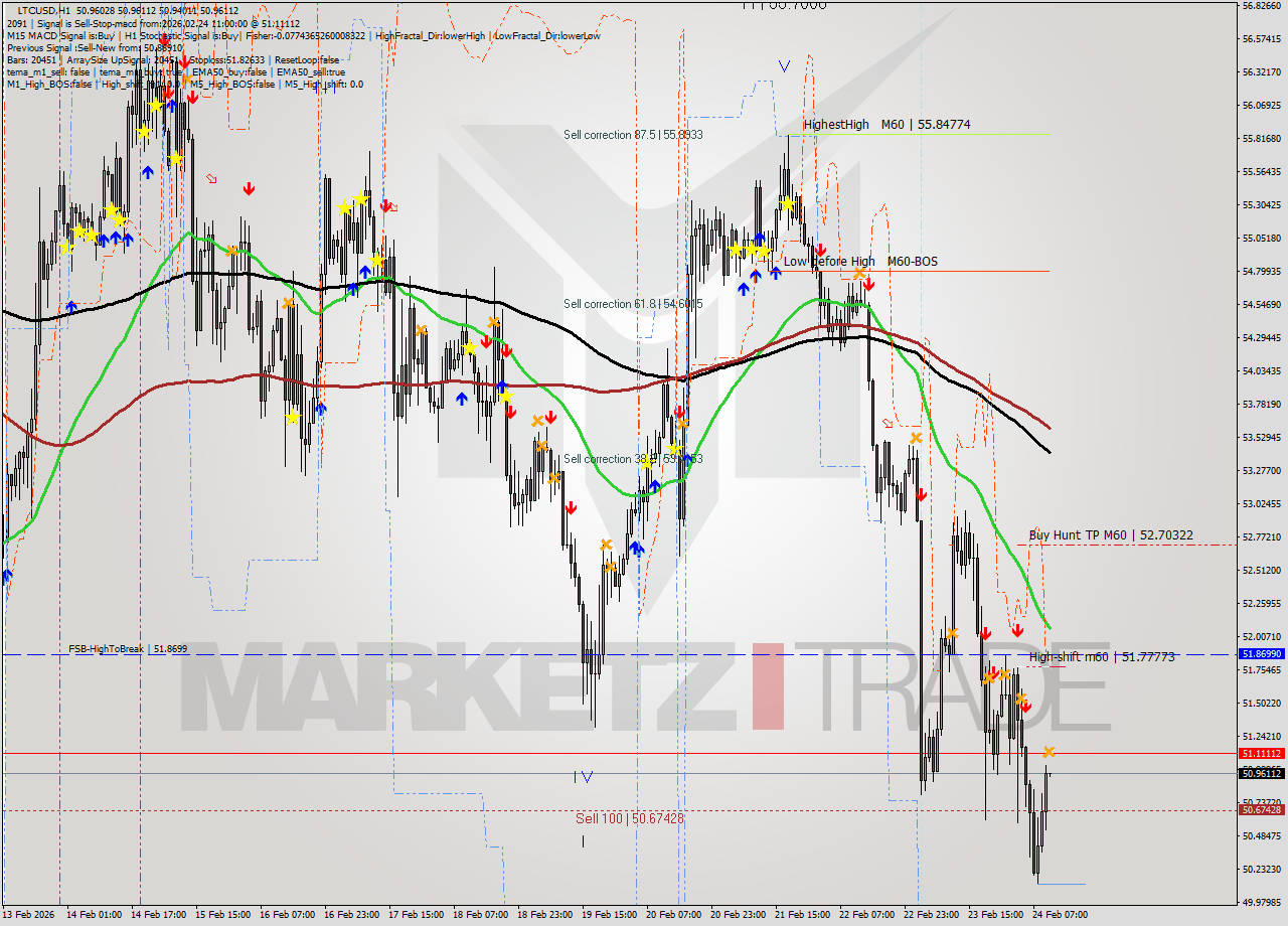 LTCUSD MTF analysis at 2026.02.24 11:00